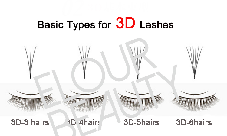 basic types for 3d lashes.jpg